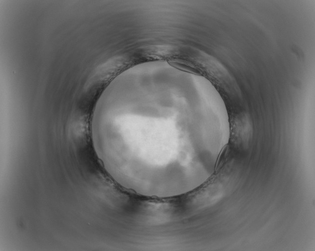 X0000113070284200909250935