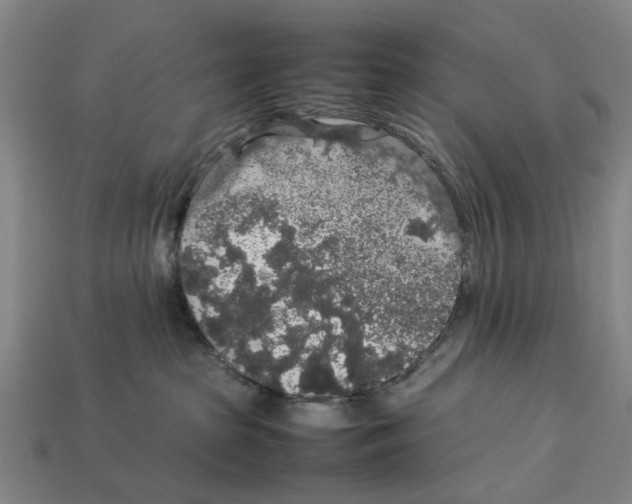 X0000113070285200909250935