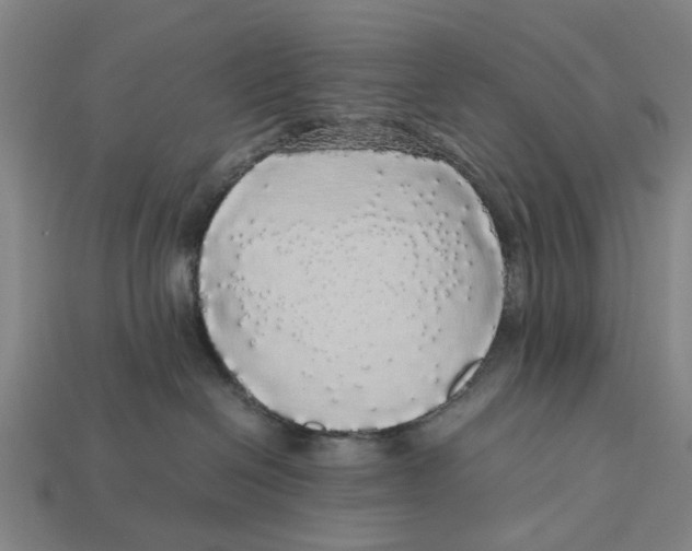X0000113070286200909250935