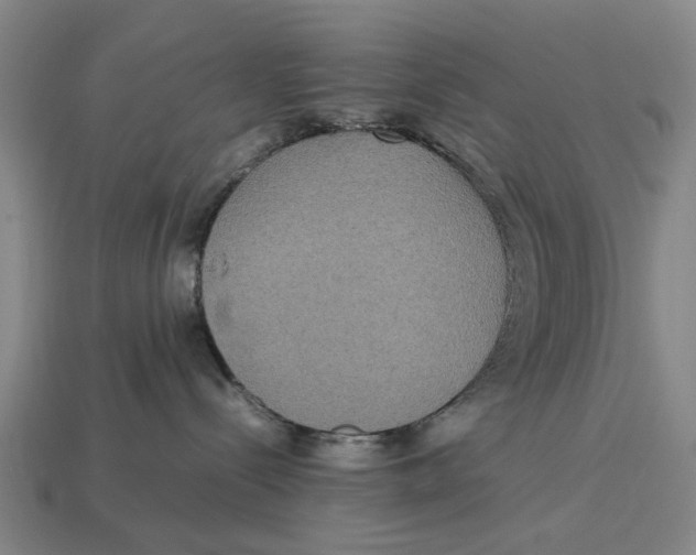 X0000113070288200909250935