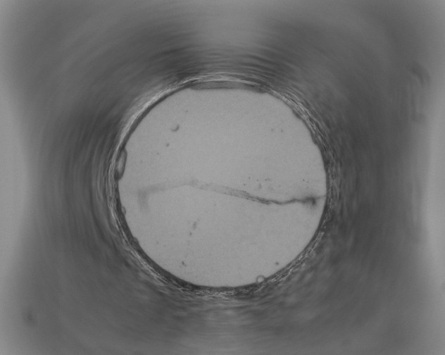 X0000113070289200909250935