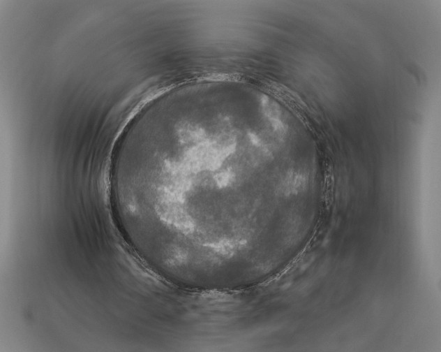 X0000113070290200909250935