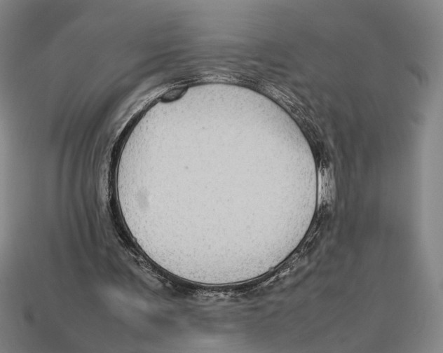 X0000113070291200909250935