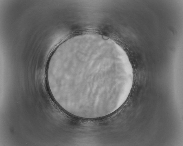 X0000113070293200909250935