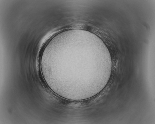 X0000113070294200909250935