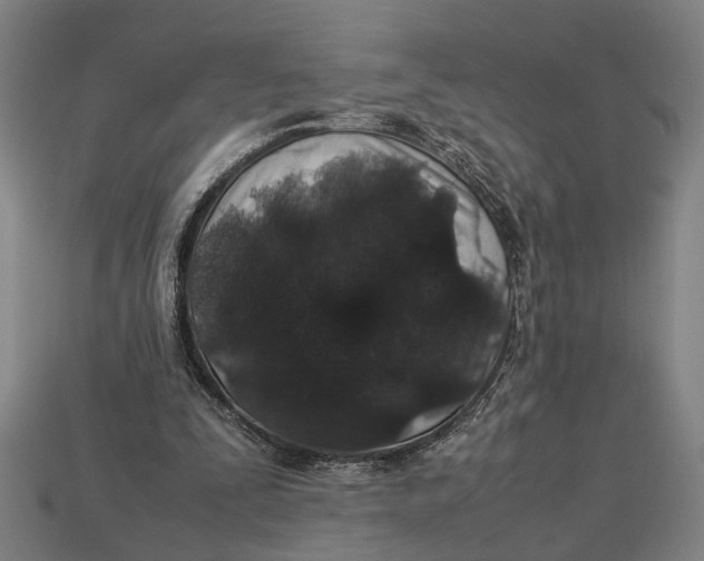 X0000113070295200909250935