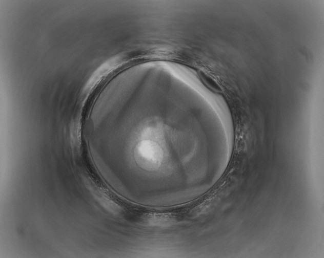 X0000113070296200909250935