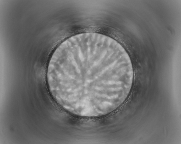 X0000113070297200909250935