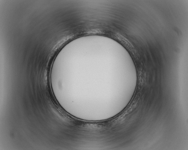 X0000113070298200909250935