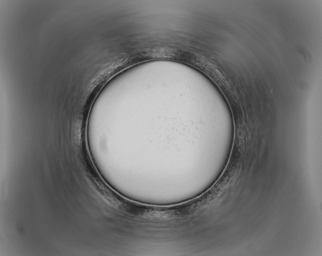 X0000113070299200909250935