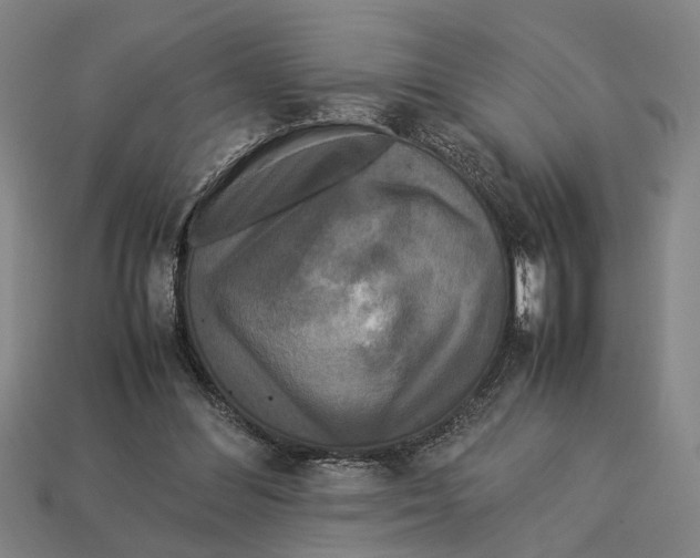 X0000113070300200909250935