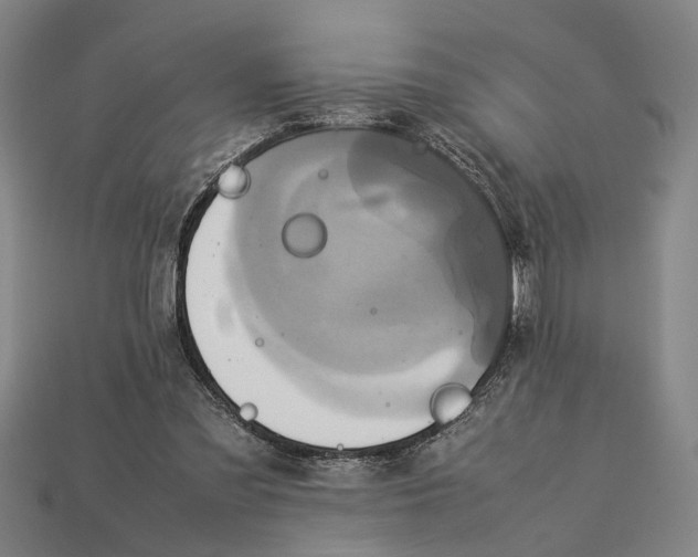 X0000113070301200909250935