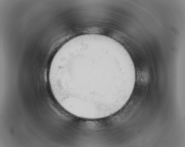 X0000113070302200909250935