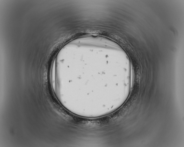 X0000113070303200909250934