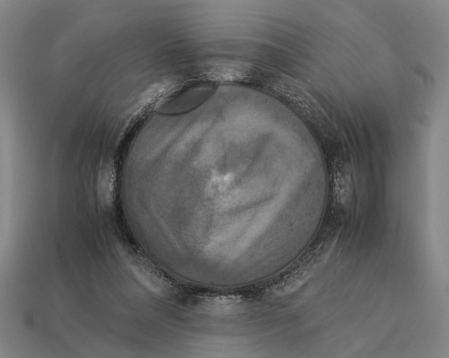 X0000113070304200909250934