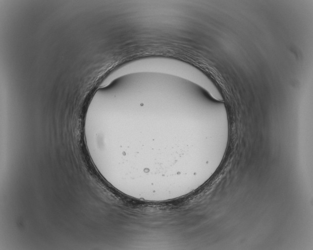 X0000113070305200909250934