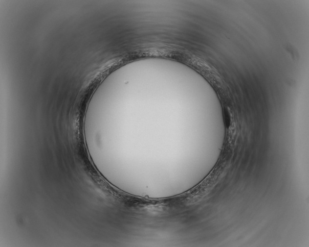 X0000113070306200909250934