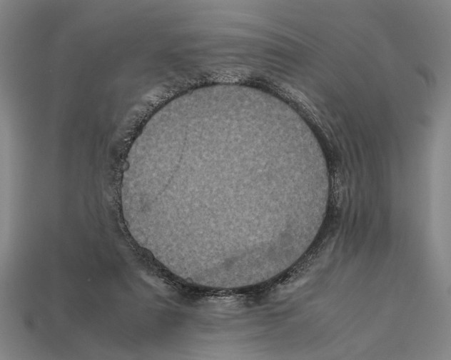 X0000113070307200909250934