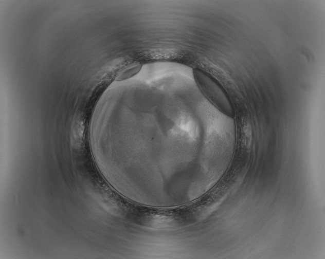 X0000113070308200909250934