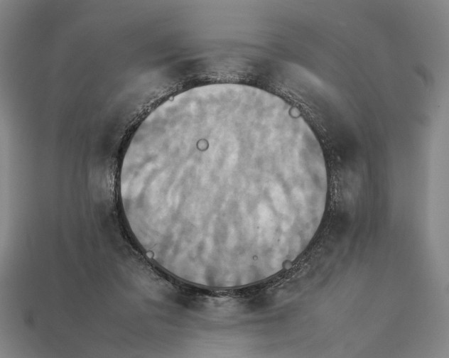 X0000113070309200909250934