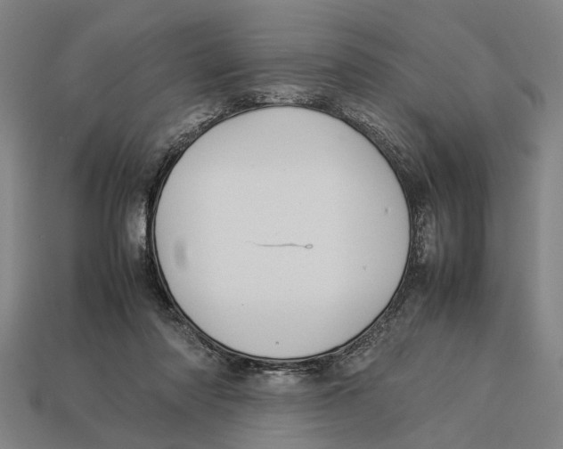 X0000113070310200909250934