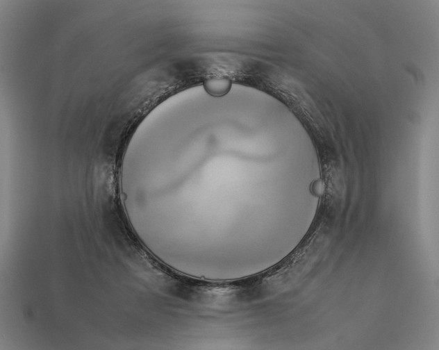 X0000113070313200909250934