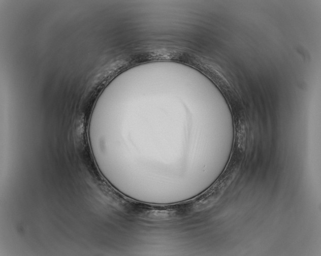X0000113070314200909250934