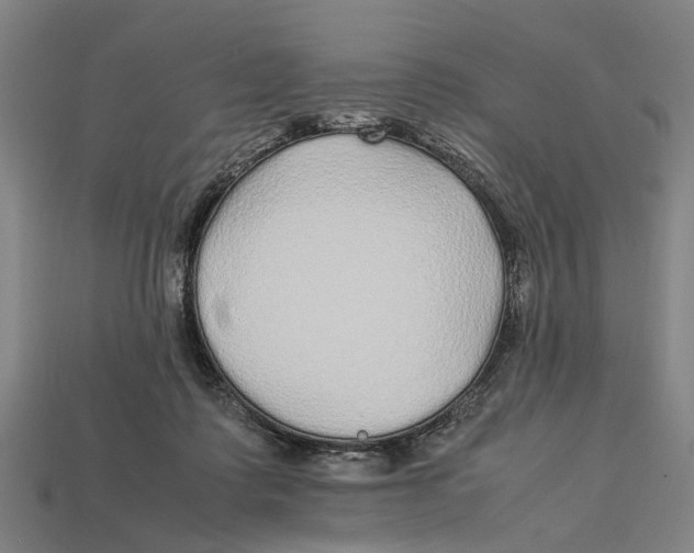 X0000113070315200909250934
