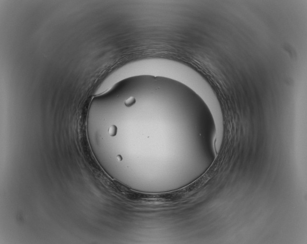 X0000113070316200909250934