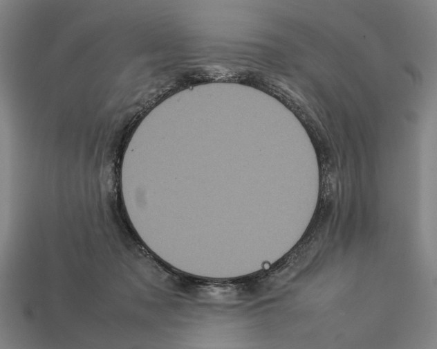 X0000113070317200909250934