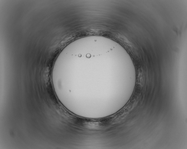 X0000113070318200909250934