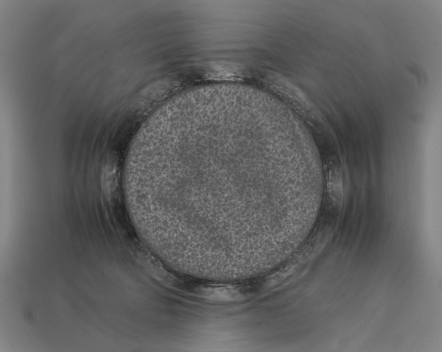 X0000113070322200909250934
