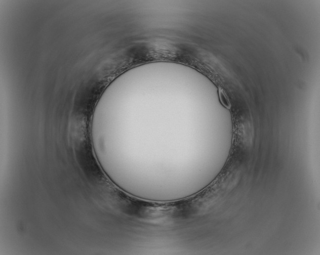 X0000113070323200909250934