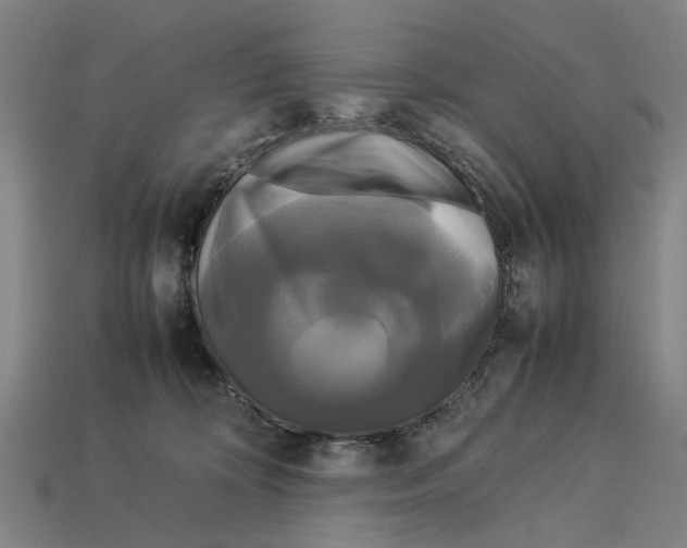 X0000113070324200909250934