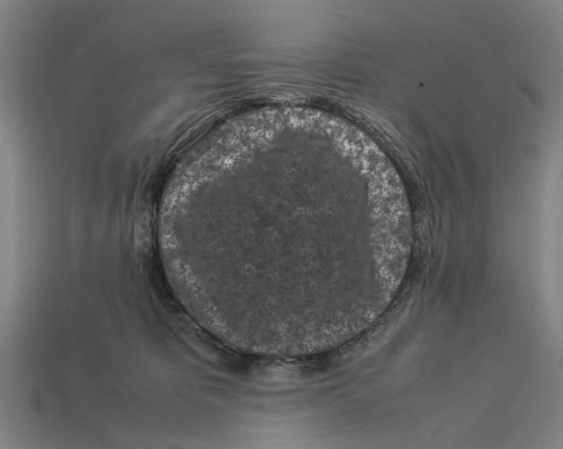 X0000113070325200909250934