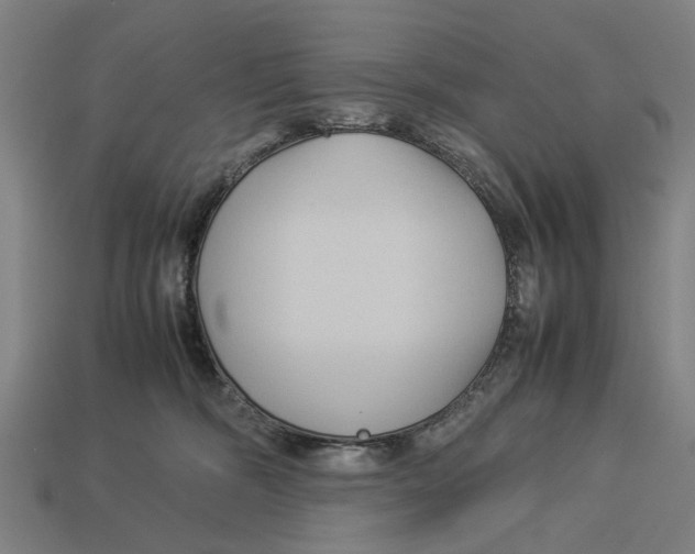 X0000113070326200909250934