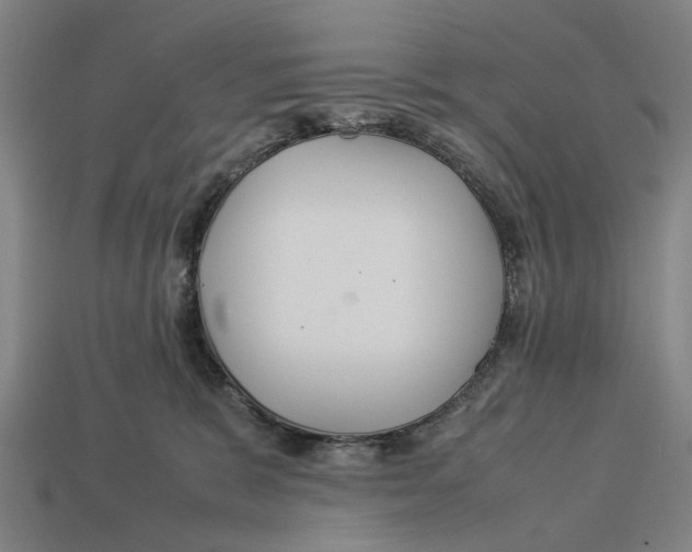 X0000113070327200909250934