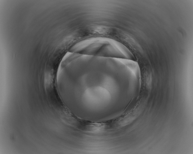 X0000113070328200909250934