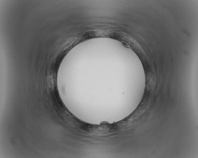 X0000113070329200909250934