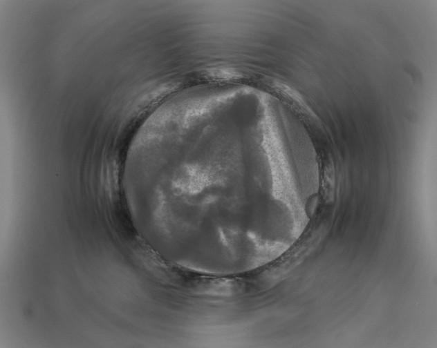 X0000113070330200909250934