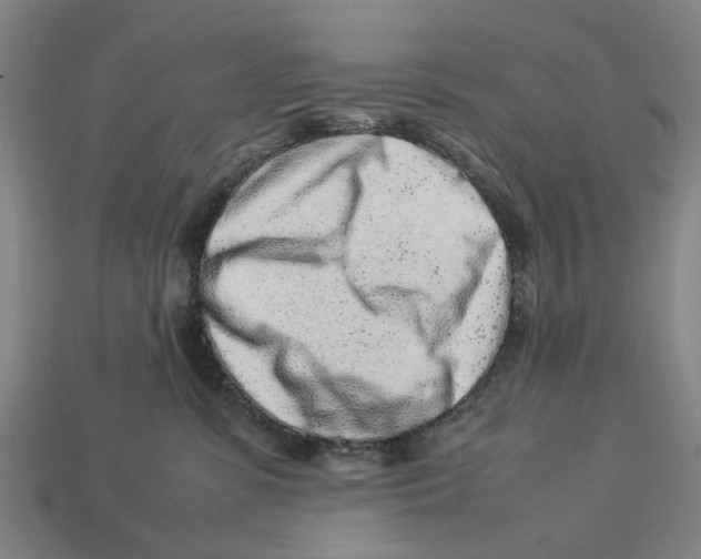 X0000113070331200909250934