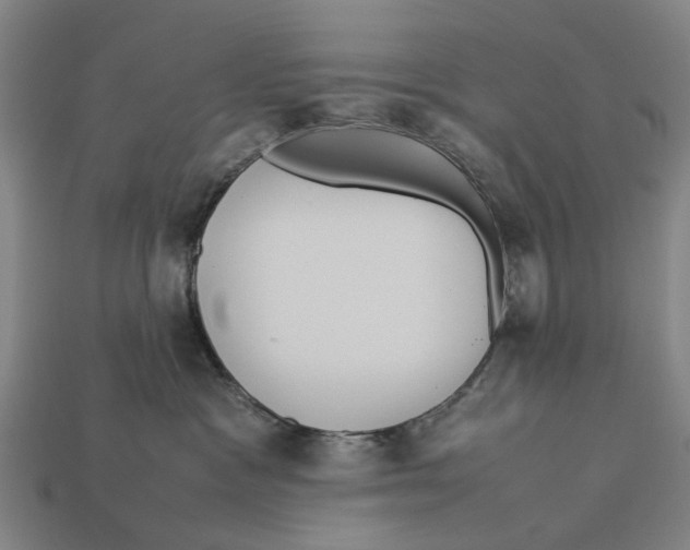 X0000113070333200909250934