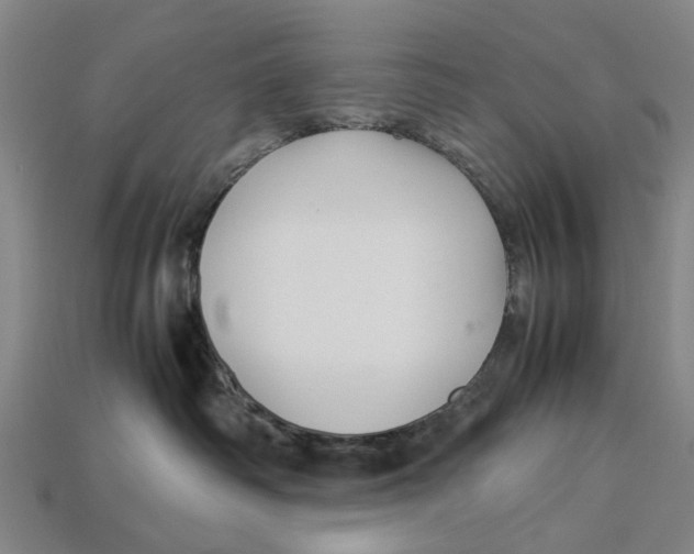 X0000113070334200909250934