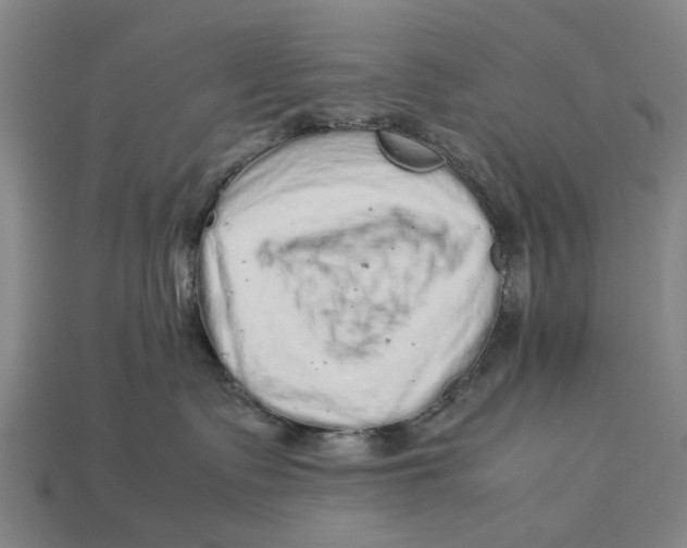 X0000113070335200909250934