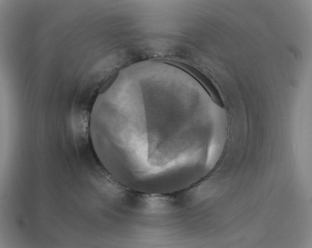 X0000113070336200909250934