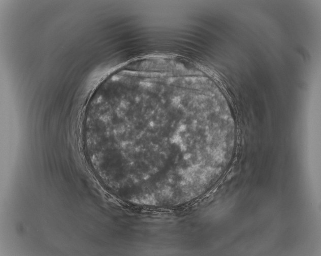 X0000113070337200909250933