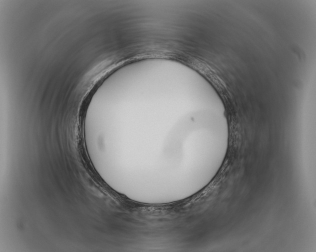 X0000113070338200909250933