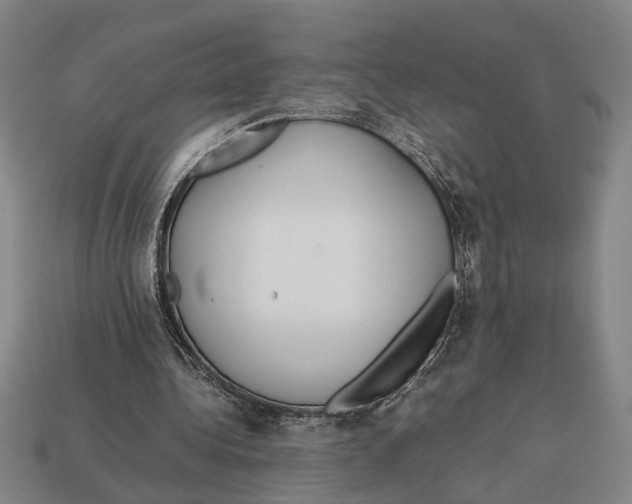 X0000113070340200909250933