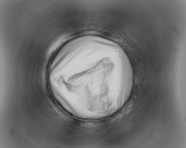 X0000113070341200909250934