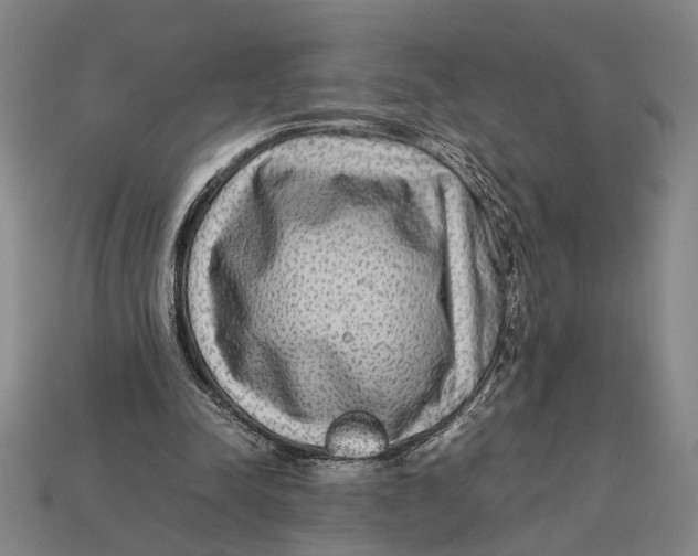 X0000113070342200909250934